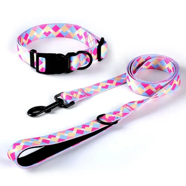 Dog Leash Pattern Pet Collar