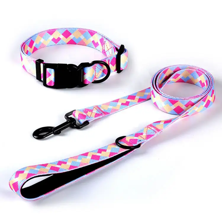 Dog Leash Pattern Pet Collar