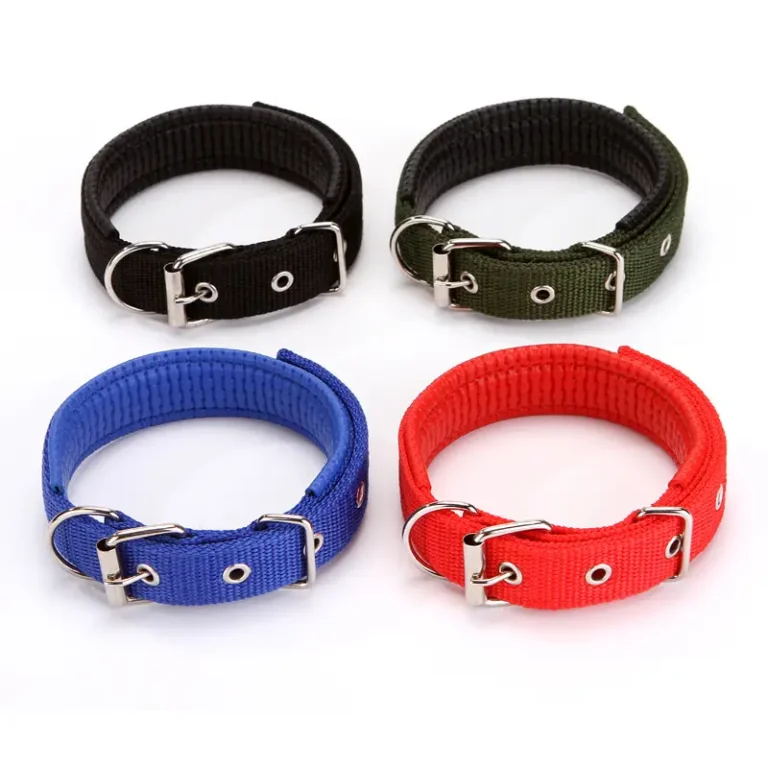 Dog Nack Belt