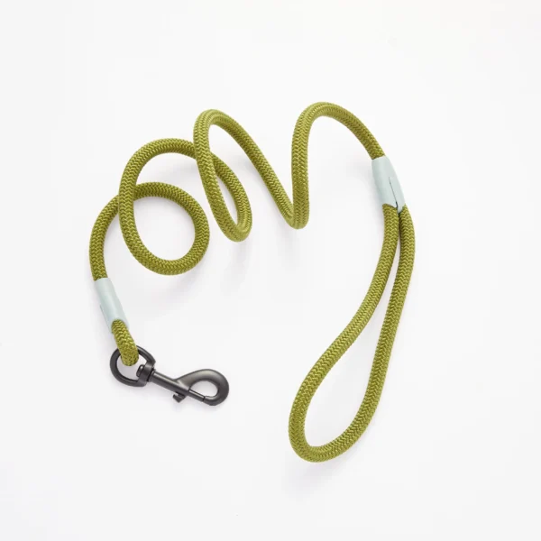 Leash Rope Reflective Dog Leashes
