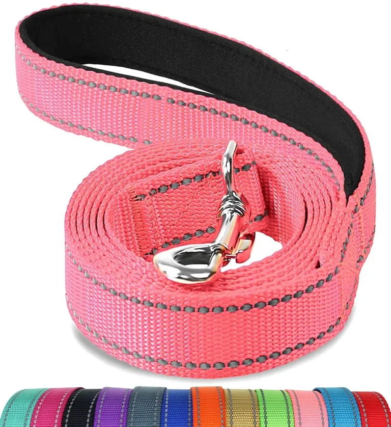 Reflective Dog Leash