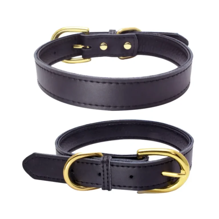 Black Leather Dog Collar