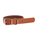 Stylish Studded Leather Dog Collar