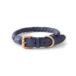Braided Leather Dog Collar & Leash Set