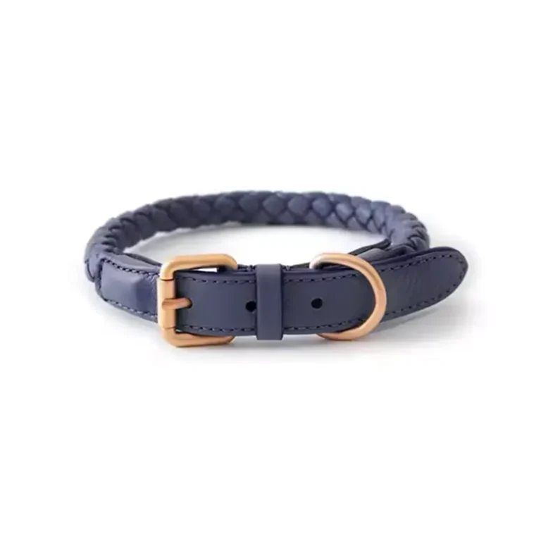 Braided Leather Dog Collar & Leash Set