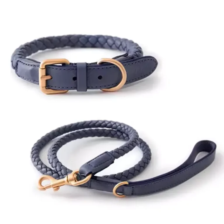 Braided Leather Dog Collar & Leash Set