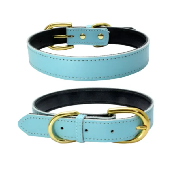 Sky Blue Leather Dog Collar