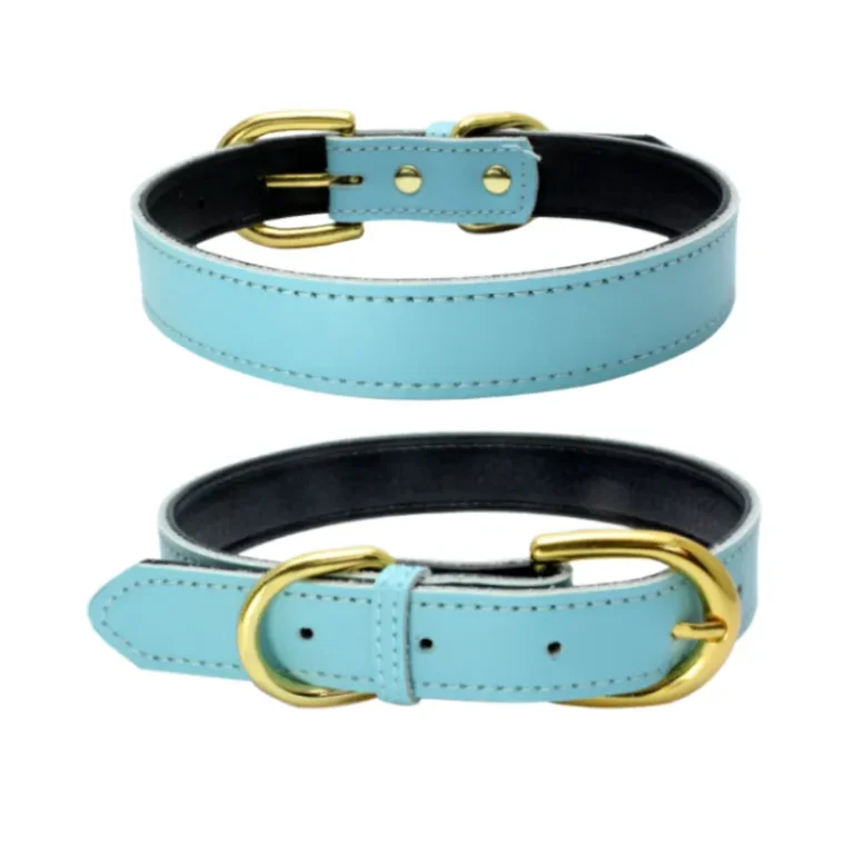 Sky Blue Leather Dog Collar