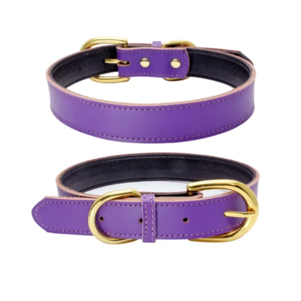 Royal Purple Leather Dog Collar