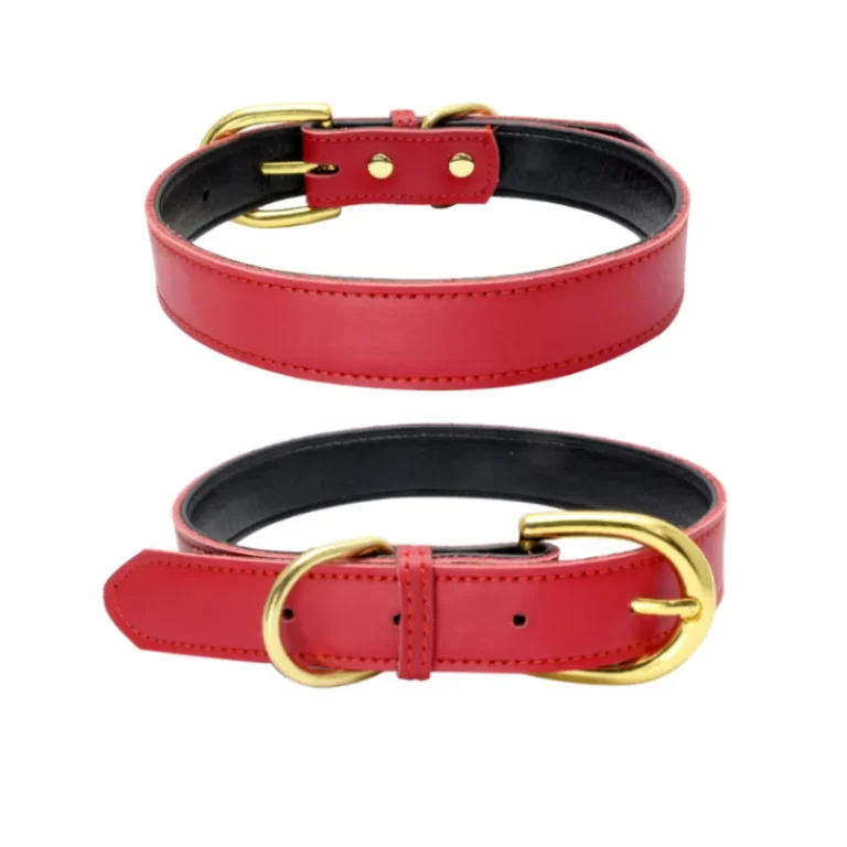 Bold Red Leather Dog Collar
