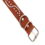 Stylish Studded Leather Dog Collar