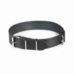Heavy-Duty Black Leather Dog Collar