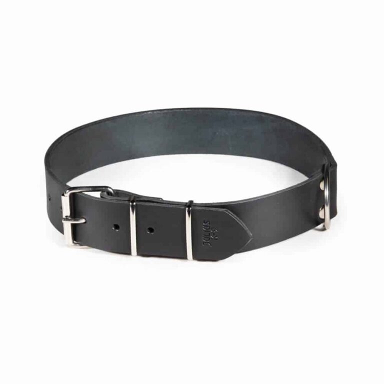 Heavy-Duty Black Leather Dog Collar