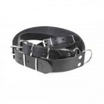 Heavy-Duty Black Leather Dog Collar