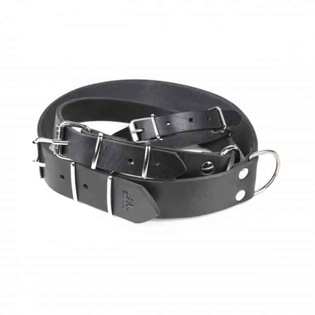 Heavy-Duty Black Leather Dog Collar