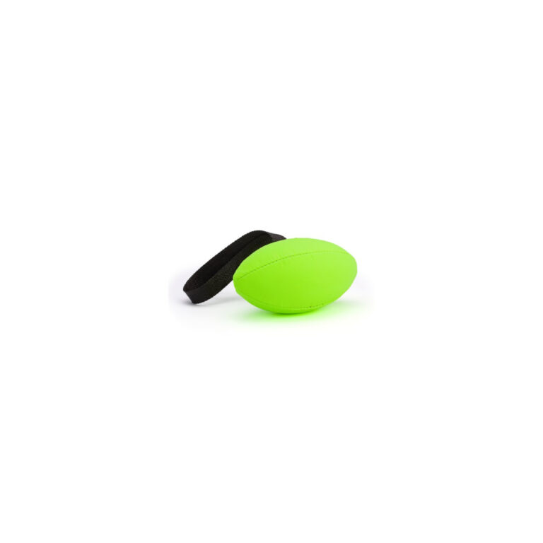 Dog Tug & Fetch Football