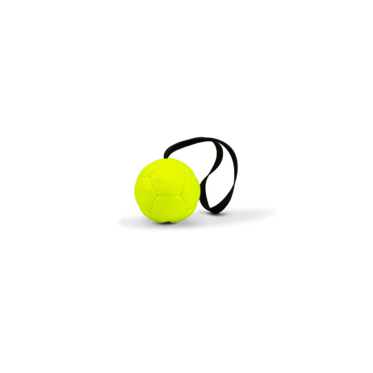 Dog Tug & Fetch Ball