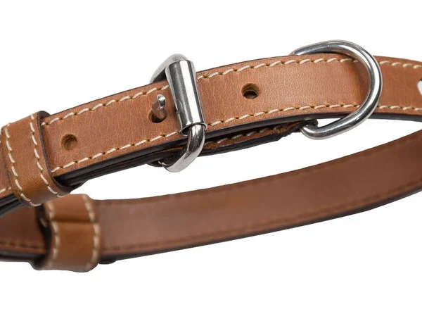Classic Genuine Leather Dog Collar