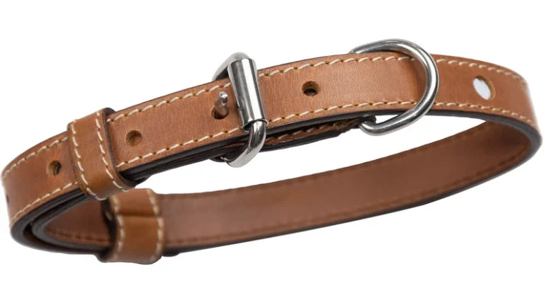 Classic Genuine Leather Dog Collar