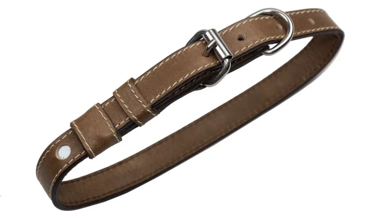 Leather Dog Collar