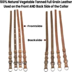 Classic Brown Leather Dog Collar