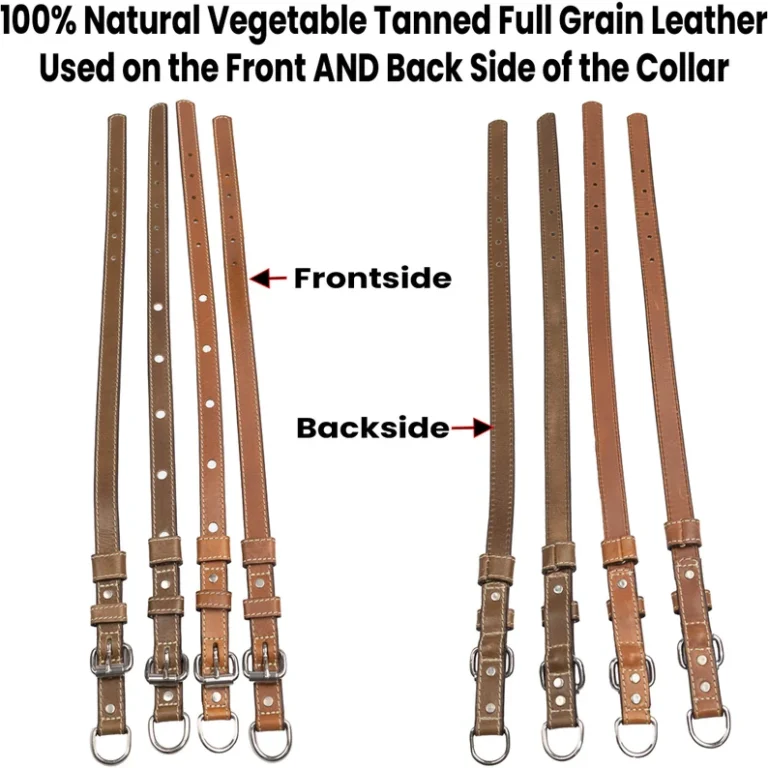 Classic Brown Leather Dog Collar